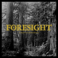 Foresight - In Search Of...